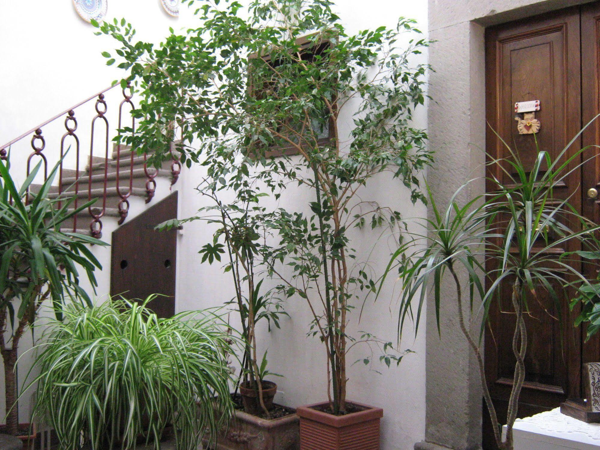 Bb Santa Rosa Bed & Breakfast Viterbo Eksteriør bilde